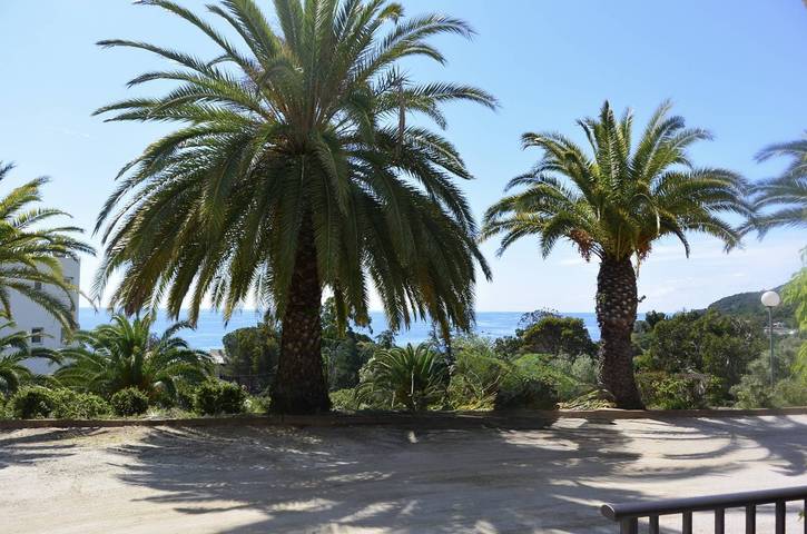 Gîte pour 4 personnes, avec piscine et terrasse à Sari-Solenzara - 3