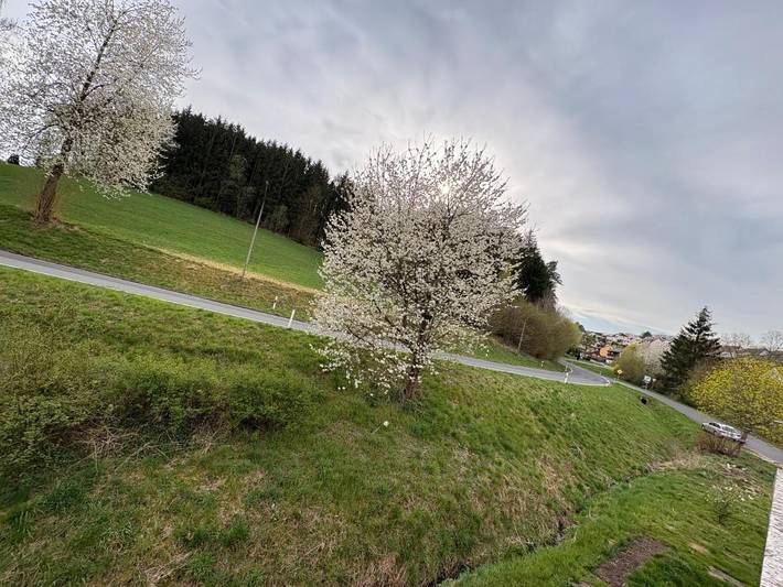 Gîte pour 8 personnes, avec jardin et vue dans Grafenwohr - 4