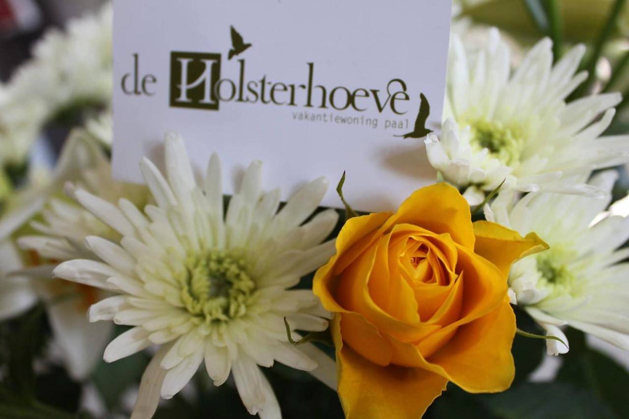 De Holsterhoeve in Paal, Beringen