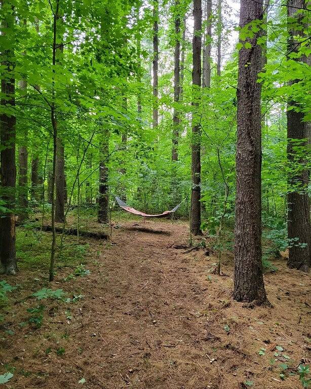 Log Cabin 12 with Hot Tub at Osborn Boat Ramp on Patoka Lake in Patoka Lake