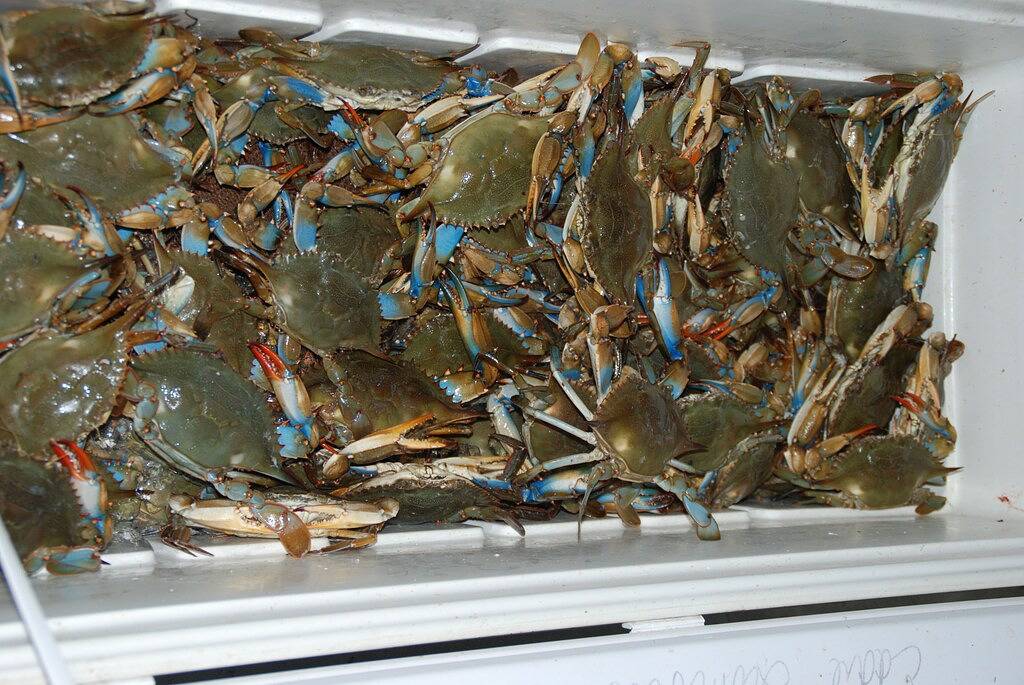 Lake House for 4 Guests in Louisiana, USA