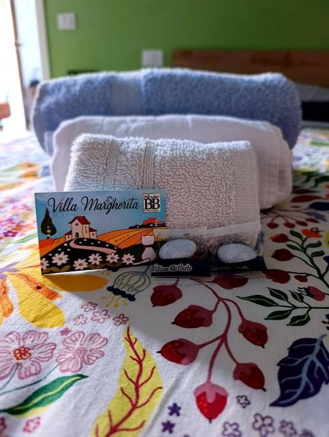 Location de vacances pour 3 personnes, avec terrasse ainsi que vue et jardin, animaux acceptés à Pratola Peligna - 4