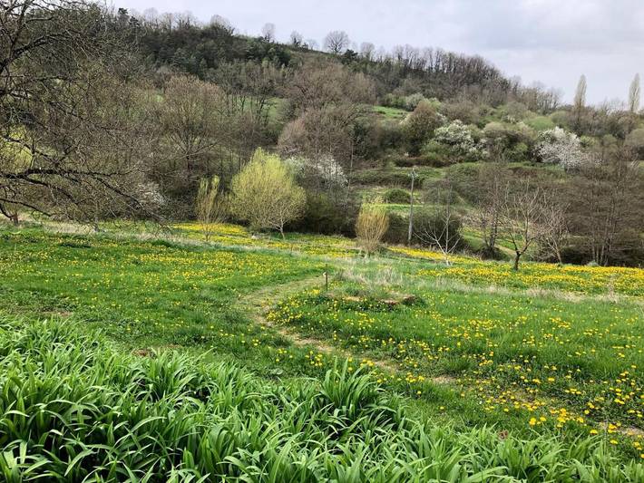 Location de vacances pour 5 personnes, avec piscine ainsi que jardin et terrasse, animaux acceptés à Ayen - 3