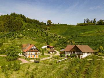 Ferienwohnung für 4 Personen in Oberkirch, Mittlerer Schwarzwald, Bild 2
