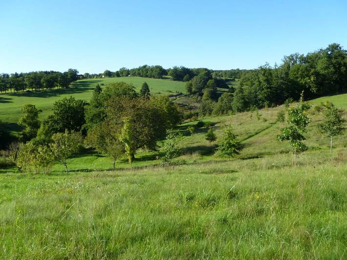 Gîte pour 4 personnes, avec jardin et piscine à Solignac (homonymie) - 2