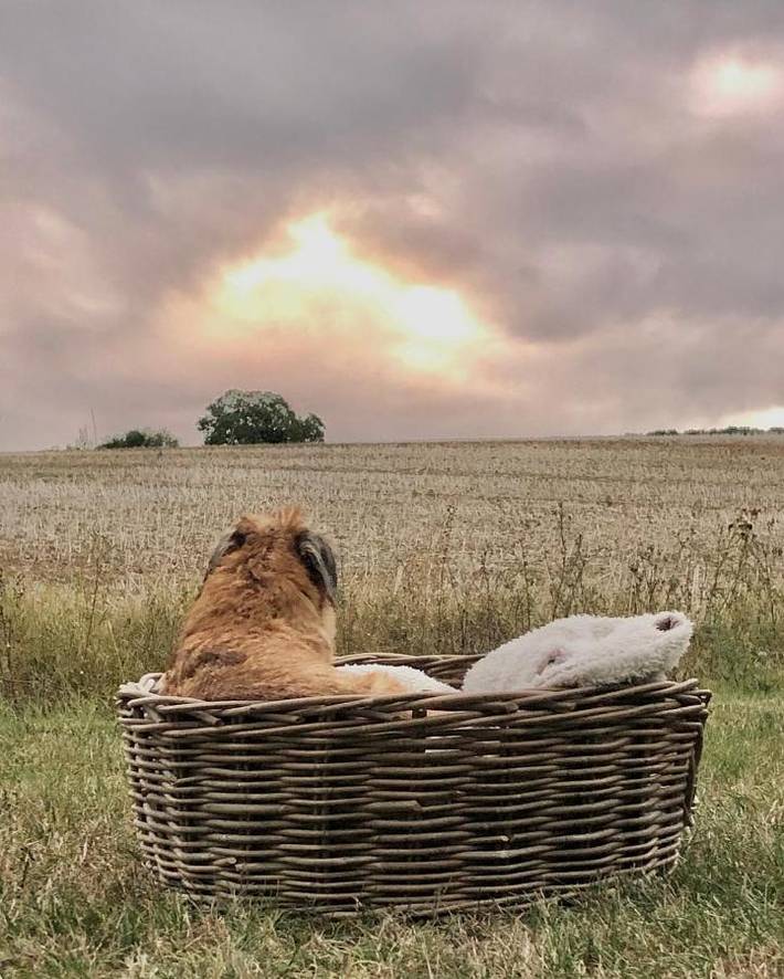 Location de vacances pour 2 personnes, avec jardin et vue à Châtillon-sur-Marne - 3