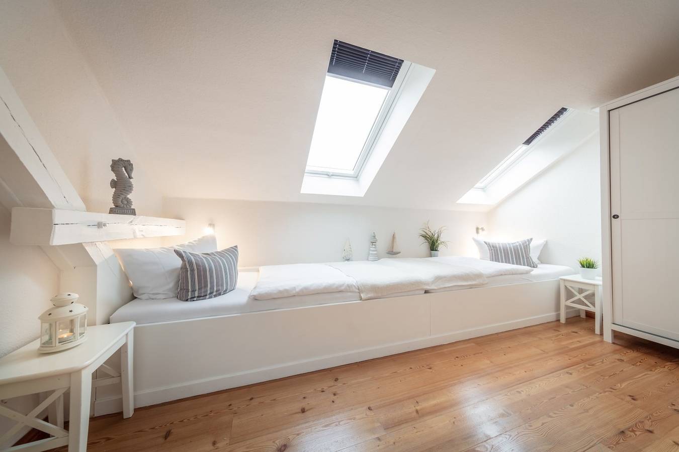 Ganze Ferienwohnung, Sturmmöwe in Westermarkelsdorf, Fehmarn