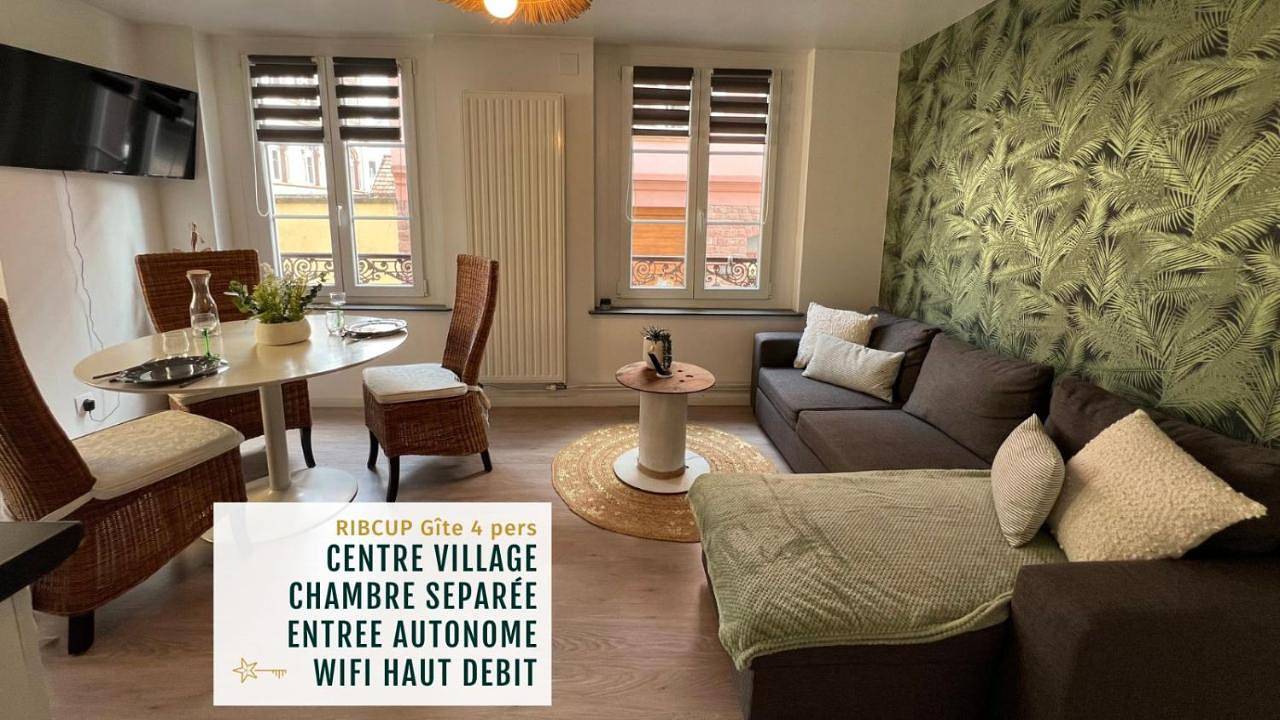 Appartement entier, Gîte Ripcup au coeur de Ribeauvillé in Ribeauvillé, Parc naturel régional des Ballons des Vosges