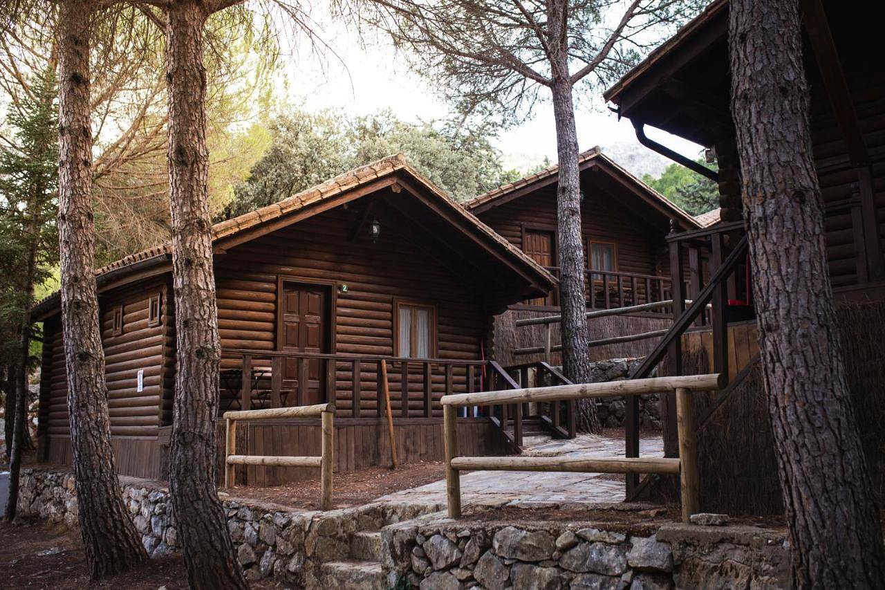 Parcela para tienda, incluye luz, Wifi y ducha in Grazalema, Pueblos Blancos