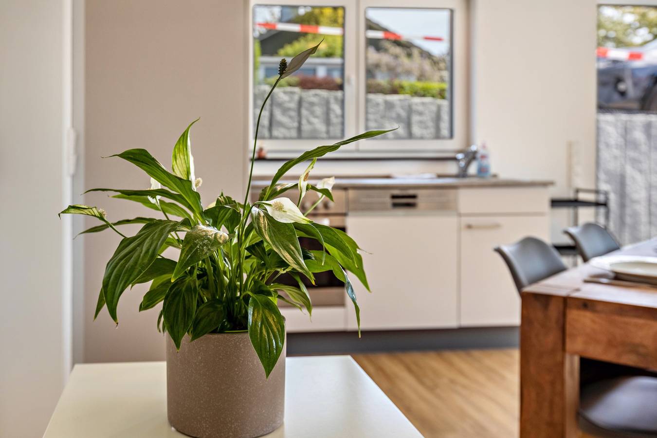 Appartement 'Stegmann Horn' met privé terras en Wi-Fi, foto 8