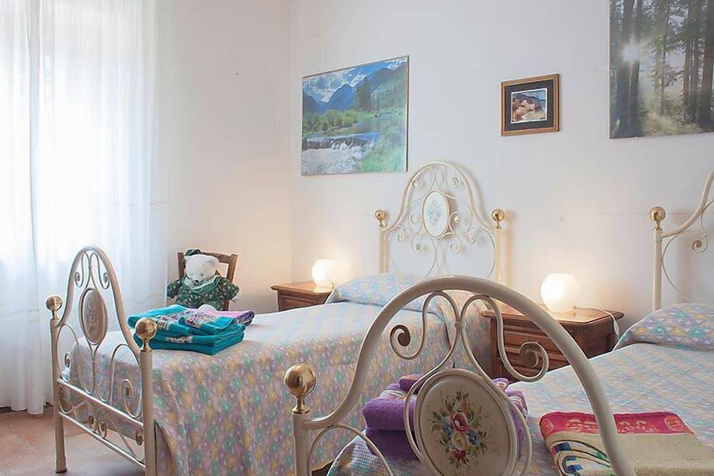 Olivo secolare in Massa Martana, Perugia e dintorni