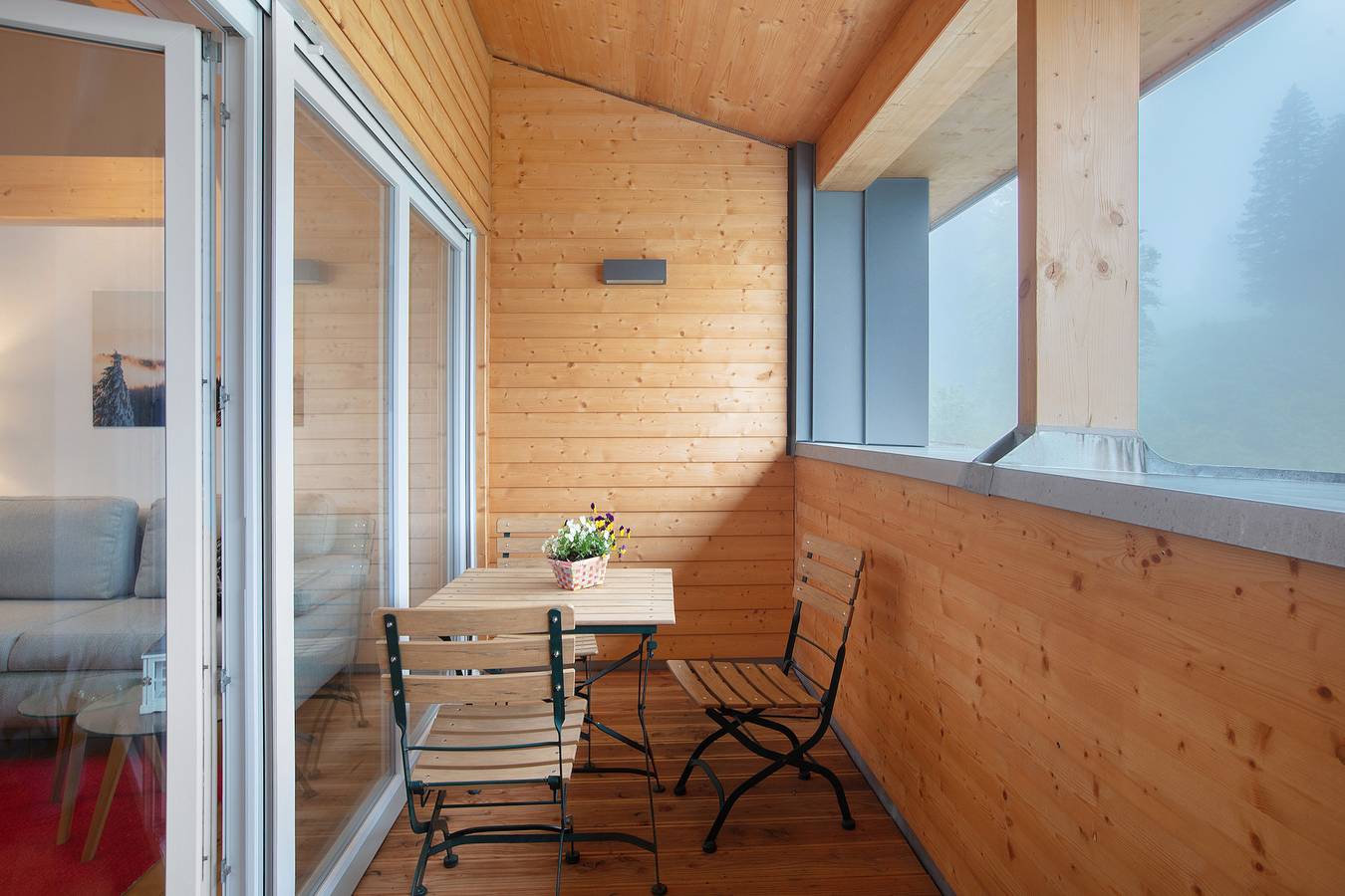 Ganze Wohnung, Ferienwohnung 'Gustel' mit Bergblick, Balkon und Wlan in Suedlicher Schwarzwald, Feldberg