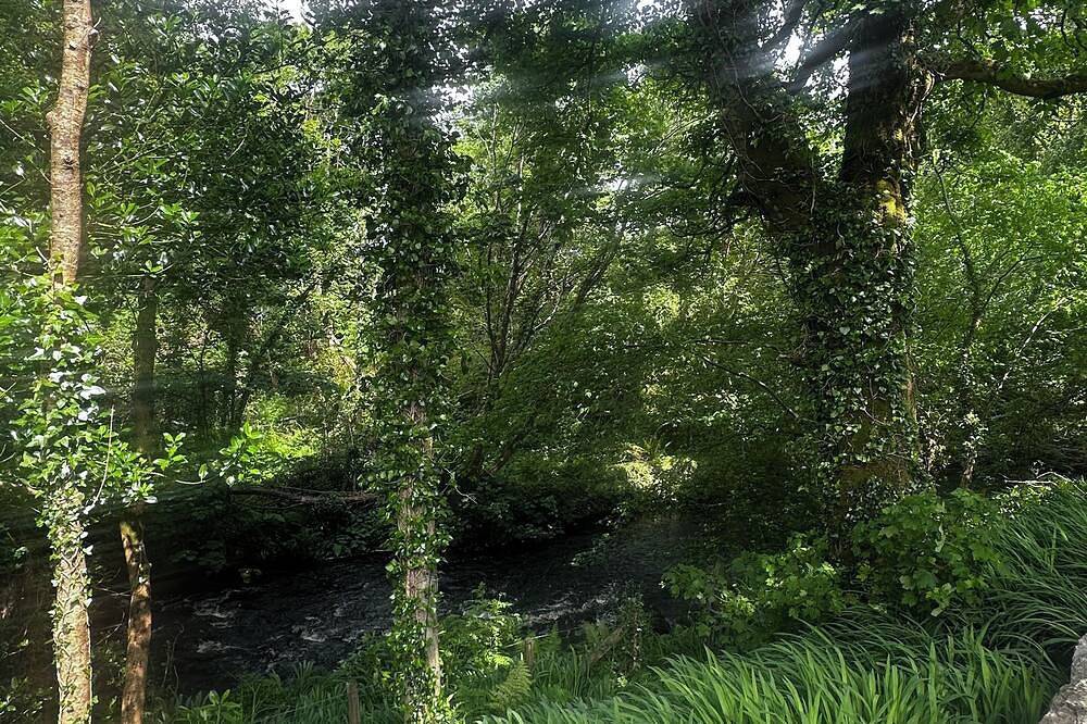 Bed and breakfast 10 minutes from clifden town, peaceful and private in Connemara