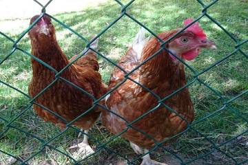 Ferienhaus für 6 Personen in der Fränkische Schweiz