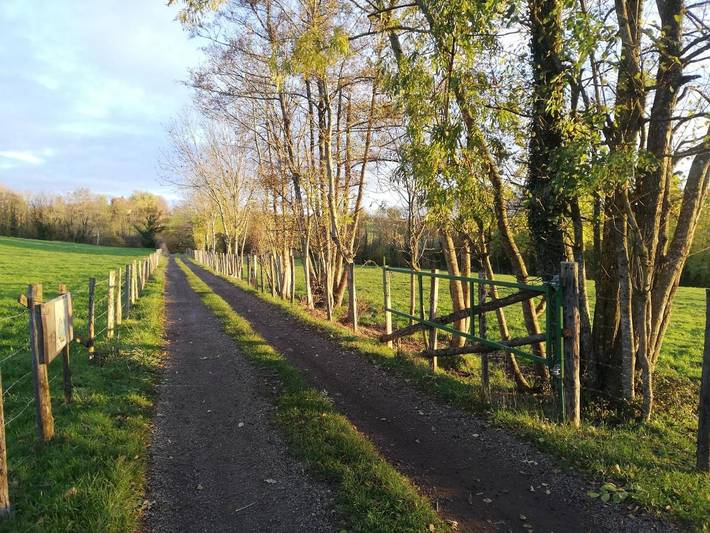 Location de vacances pour 6 personnes, avec piscine ainsi que vue et jardin, animaux acceptés à Biol - 3