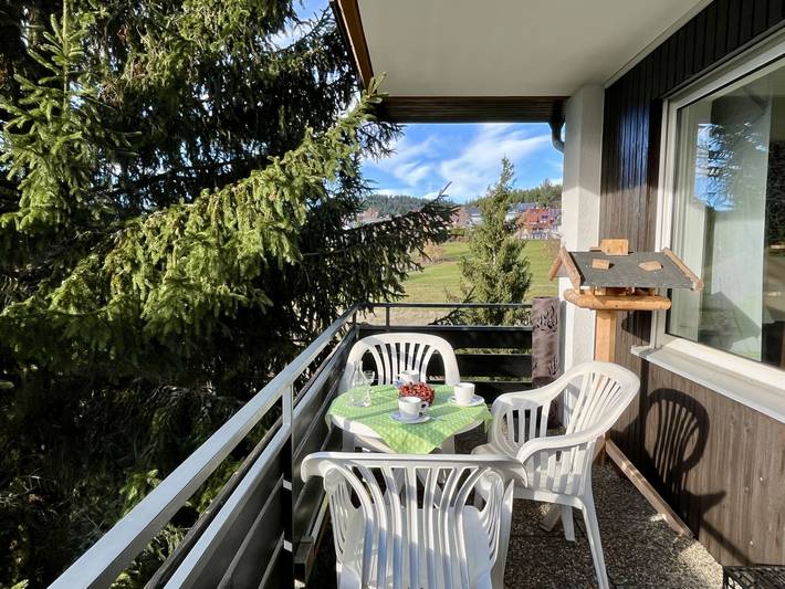 Ferienwohnung für 3 Personen, mit Balkon und Garten sowie Seeblick in Schluchsee