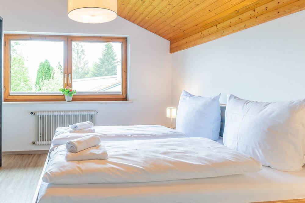 Bergfink, Deutschland in Waltenhofen, Bayerisch Schwaben