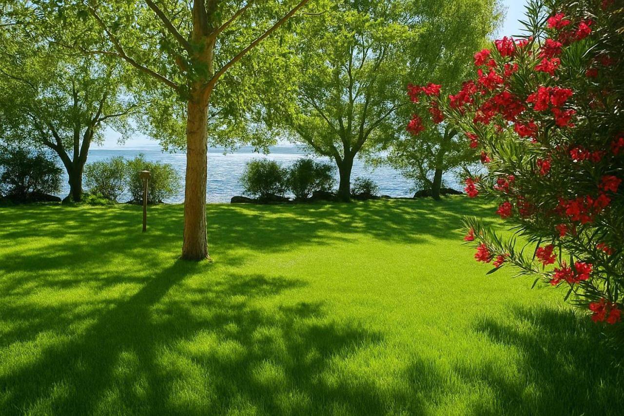 International Glamping Lago Di Bracciano in Trevignano Romano, Lago di Bracciano