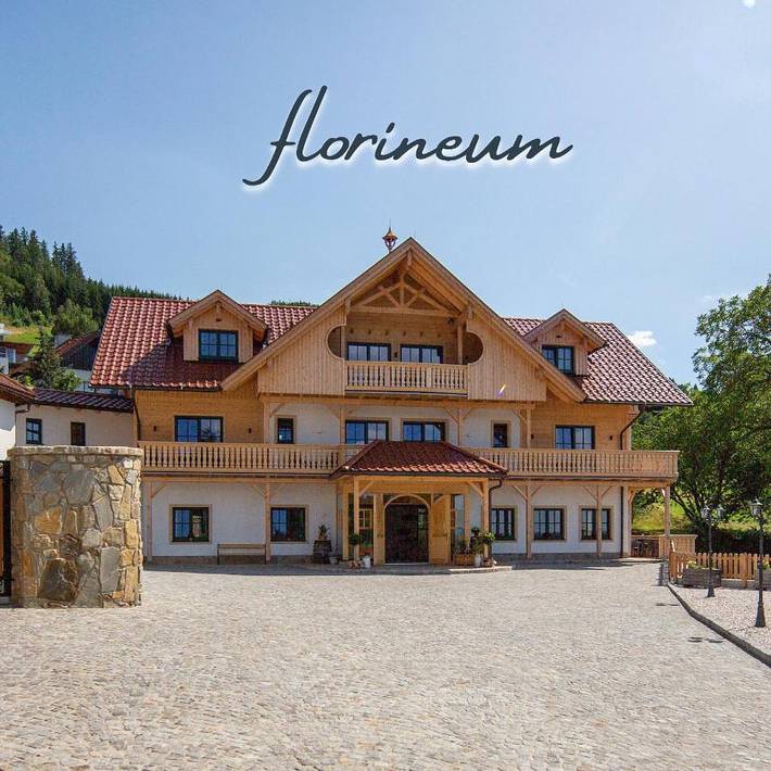 Ferienhaus, mit Terrasse und Garten in Weyregg am Attersee
