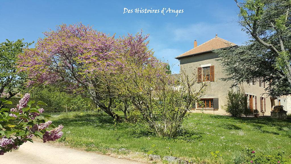 Des Histoires d'Anges Côté Jardin - Chambre Pomme de Touline in Tournus, Région de Mâcon