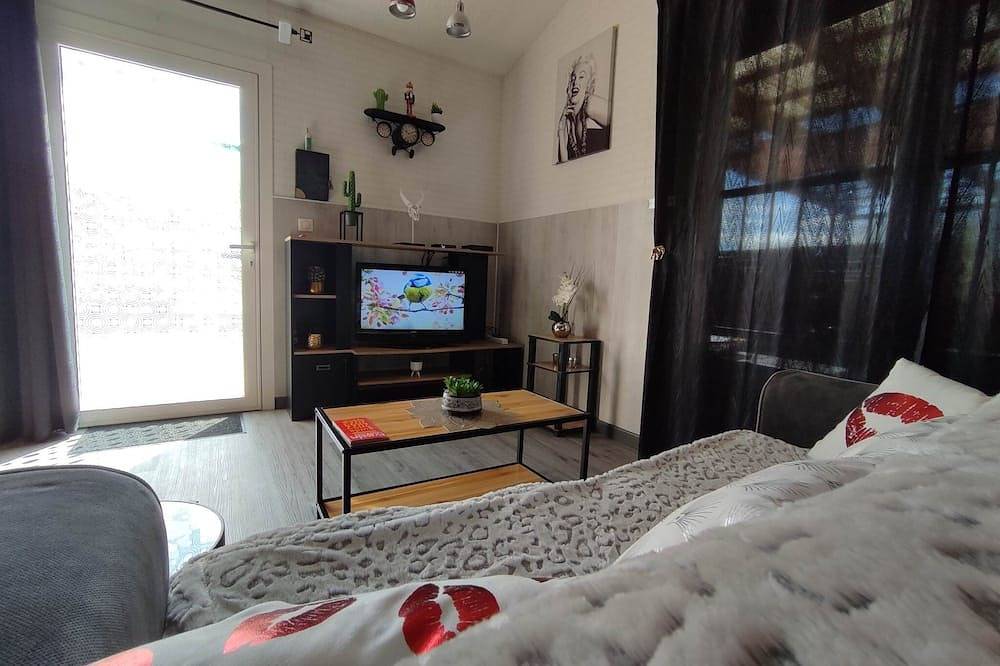 Comfortable gite well located bath /remous terrace enclosed garden dogs accepted! in Carcassonne, Carcassonne region