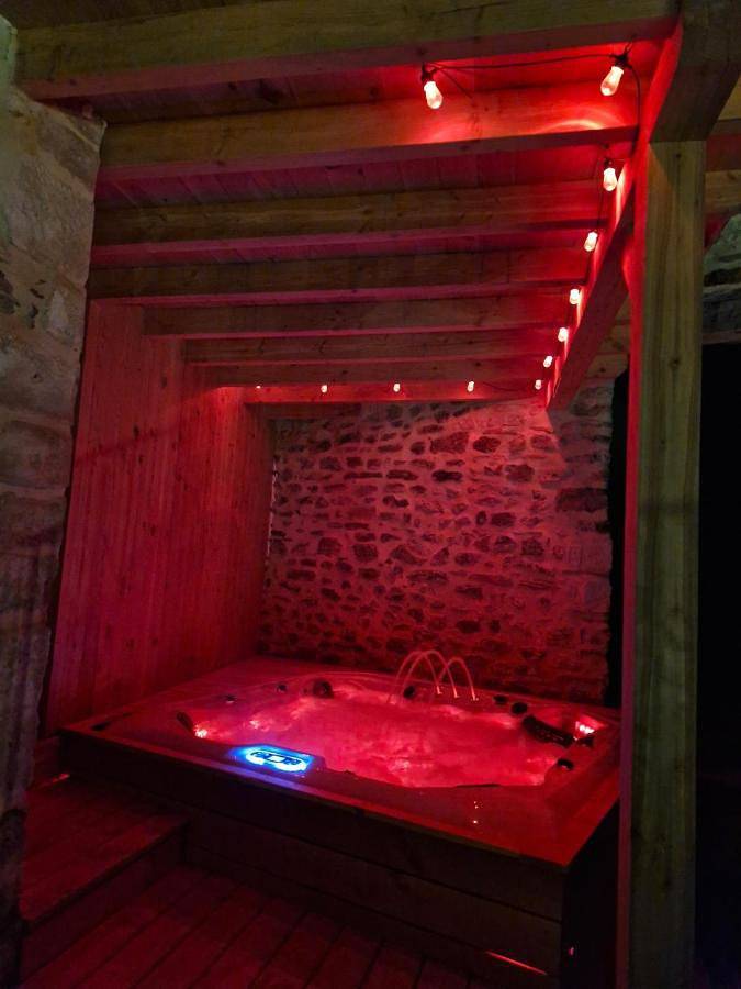 Location de vacances pour 8 personnes, avec jardin et jacuzzi à Roche-Saint-Secret-Béconne - 4