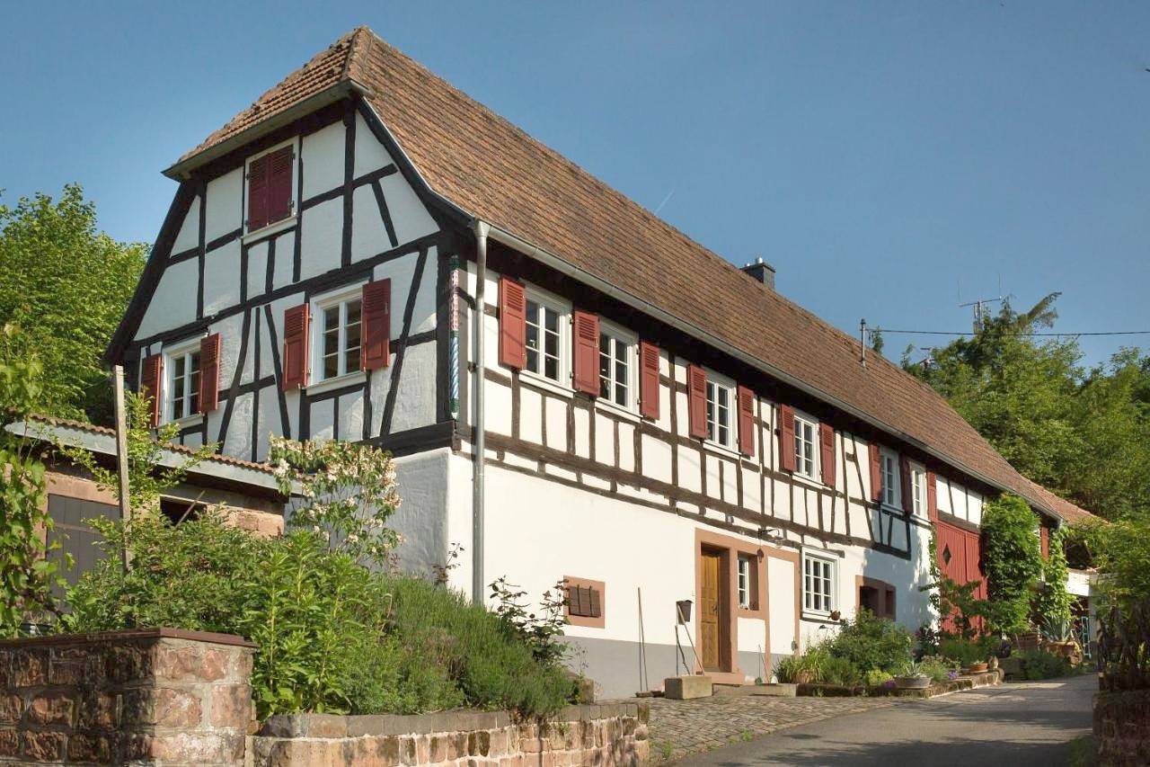 Ganze Wohnung, Apartment in Erlenbach bei Dahn, Landkreis Südwestpfalz