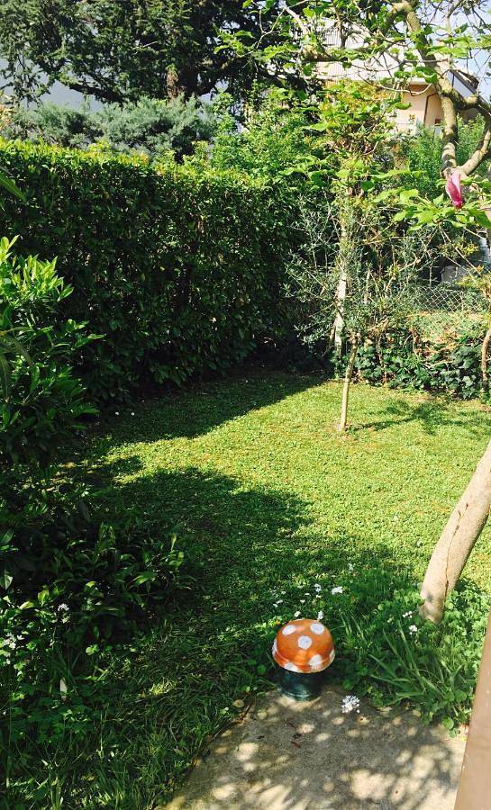 Gîte pour 5 personnes, avec piscine et jardin, animaux acceptés dans Castrocaro Terme - 3