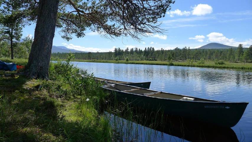 Ferienhaus für 2 Personen, mit Ausblick und Garten, mit Haustier in Ost-Norwegen - 3