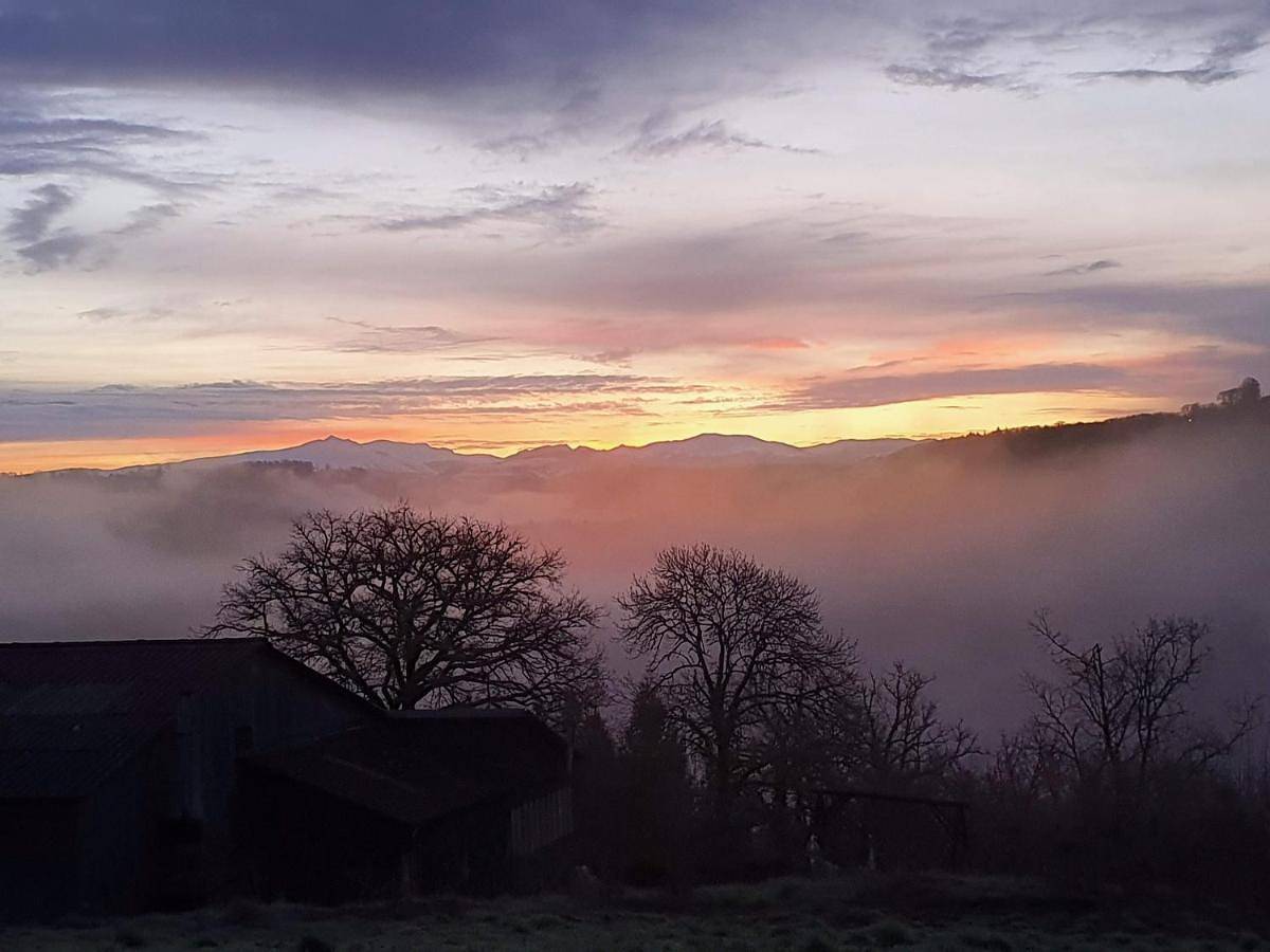 Le Petit Gîte 15140 in Sainte-Eulalie (Cantal), Région de Mauriac