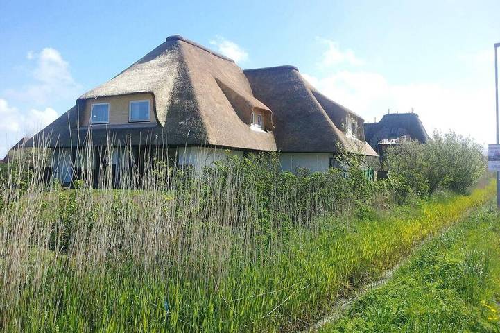 Ganze Wohnung, Haus Düwelswarft Whg. Delphin in St. Peter-Ording, Eiderstedt