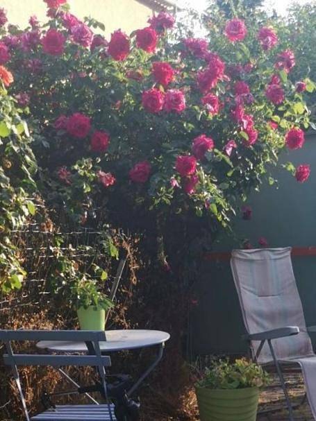 Maison de vacances pour 3 personnes, avec terrasse - 1