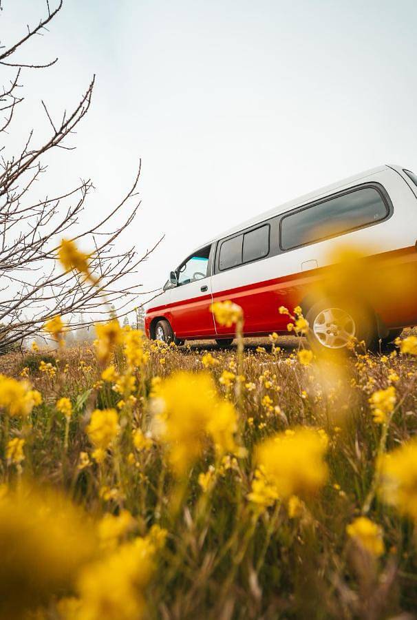 Camping para 2 personas, con vistas, Se admiten mascotas en Gran Canaria