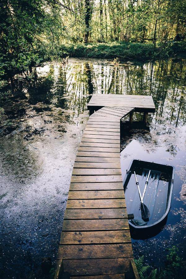 Chambre d’hôte pour 2 personnes, avec vue sur le lac ainsi que vue et jardin à Chaumont-Gistoux - 4