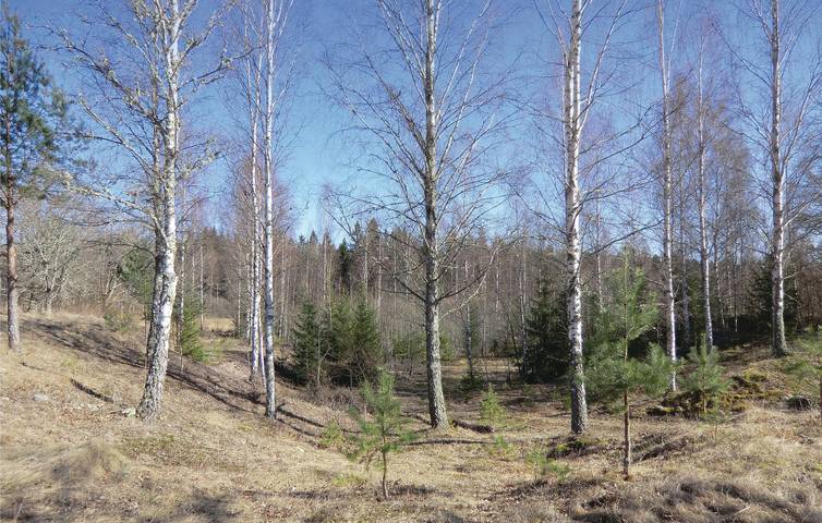 Ferienhaus für 5 Personen mit Garten in Högsby