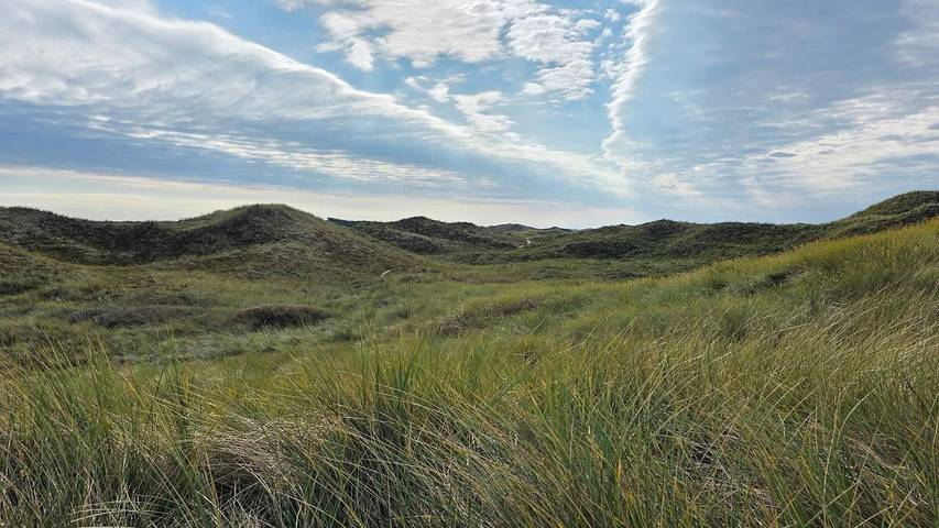 Ferienhaus für 15 Personen, mit Whirlpool und Terrasse, mit Haustier in Vester Husby - 3