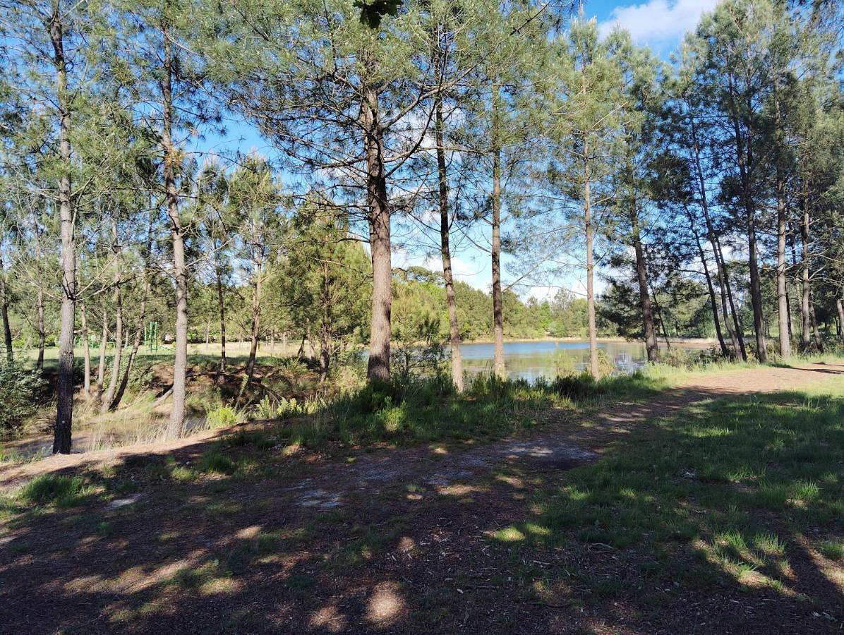 Two-Bedroom Chalet in Labouheyre, Landes
