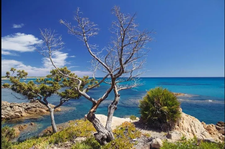 Casa de vacaciones para 6 personas, con vistas y jardín, Se admiten mascotas - 1