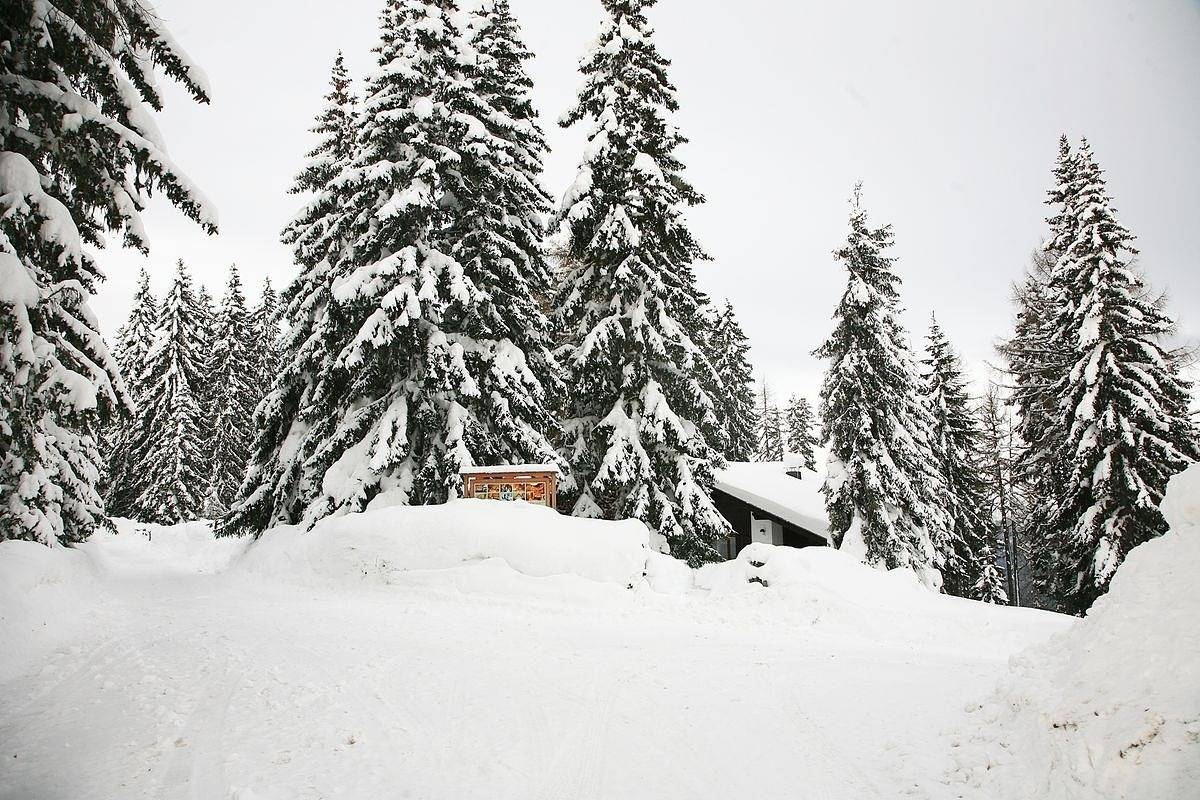 Alpine-Lodges Petra in Arriach, Gerlitzen