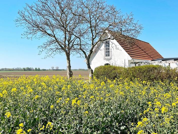 6 Personen Ferienhaus in Skivarp in Skurup, Schwedische Ostsee