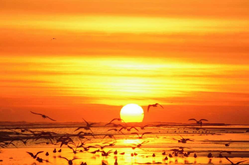 2 Schlafzimmer Unterkunft in Berwick-Upon-Tweed in Tweedmouth, Northumberland