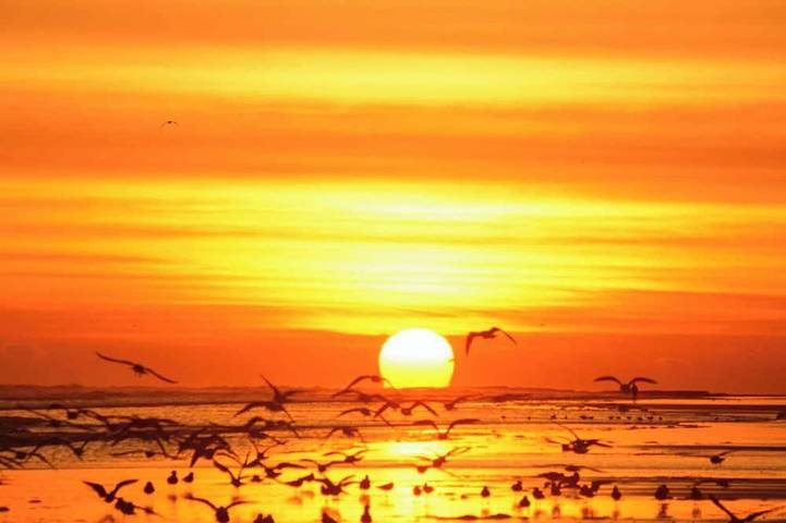 Cottage für 4 Personen, mit Haustier - 1