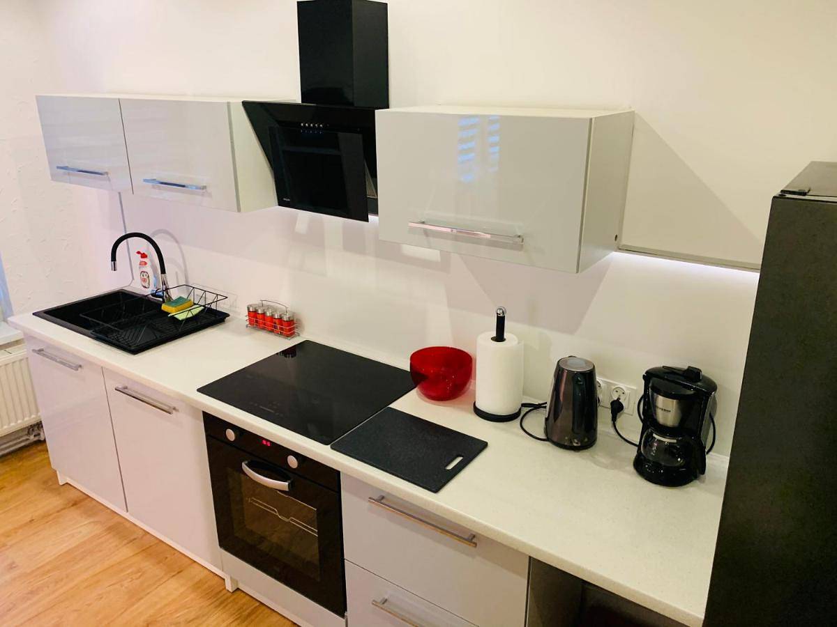 Cały apartament, Deluxe Apartment in Cieszyn, Karpaty (Polska)