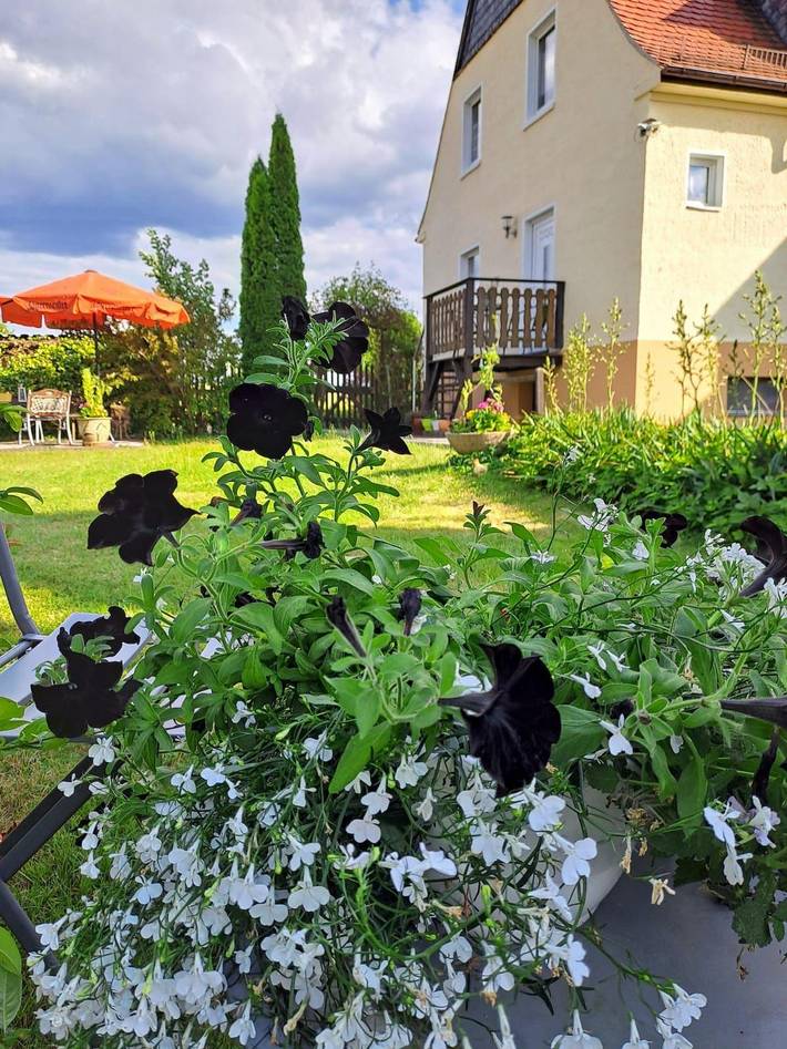 Ferienwohnung für 2 Personen, mit Garten in Sächsische Schweiz - 2