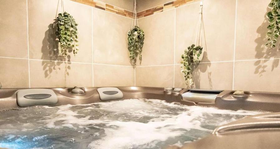 Hôtel pour 2 personnes, avec jacuzzi ainsi que terrasse et sauna à Maraussan - 2