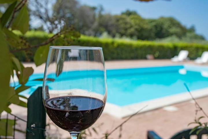 Appartamento per 2 persone, con Terrazza e Giardino nonché Piscina e Panorama a Bibbona