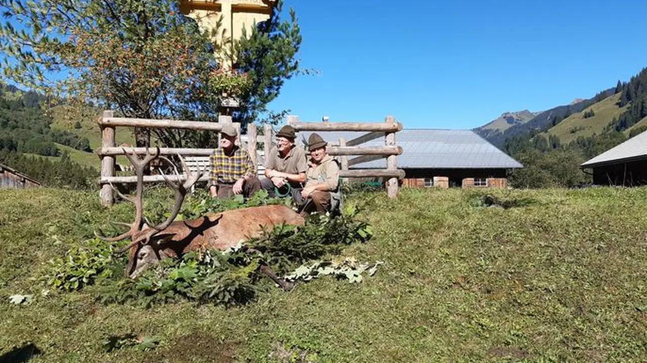Ganze Ferienwohnung, Ferienwohnung für 4 Personen in Schoppernau in Schoppernau, Bregenzerwald