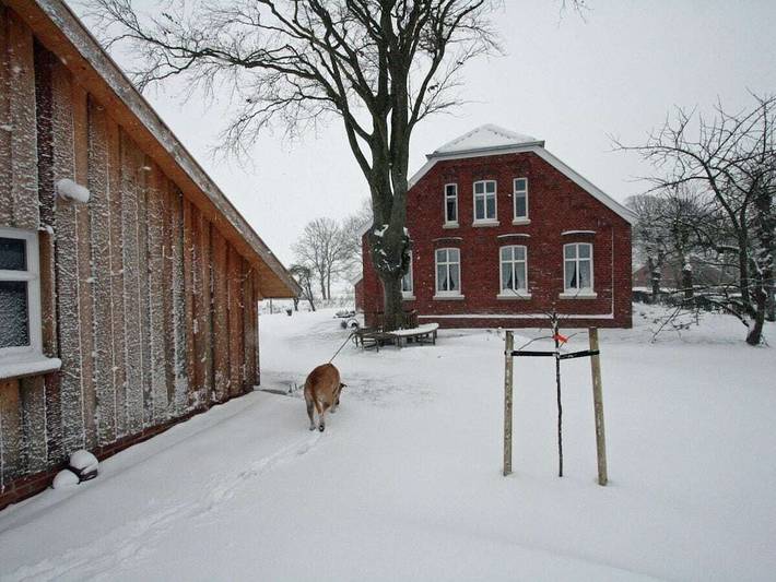 Ferienhaus mit 2 Schlafzimmer in Forlitz-Blaukirchen, Südbrookmerland