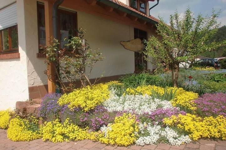 Ferienwohnung für 4 Personen, mit Sauna und Garten in Bruchweiler-Bärenbach - 3