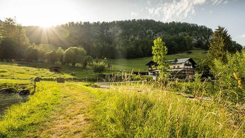 Ferienwohnung für 3 Personen, mit Sauna und Garten, mit Haustier in Strobl - 3